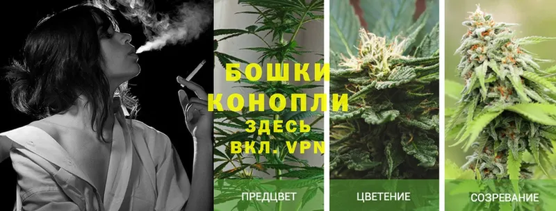 гидра   Томск  Канабис White Widow 